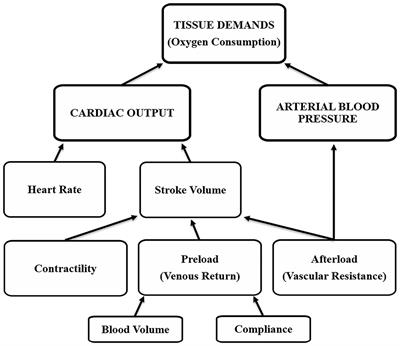 Fluid Resuscitation for Refractory Hypotension